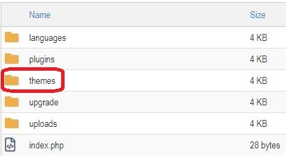 کلیک روی پوشه themes برای آپدیت